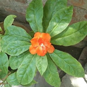 Meet your Posher, Raghavi